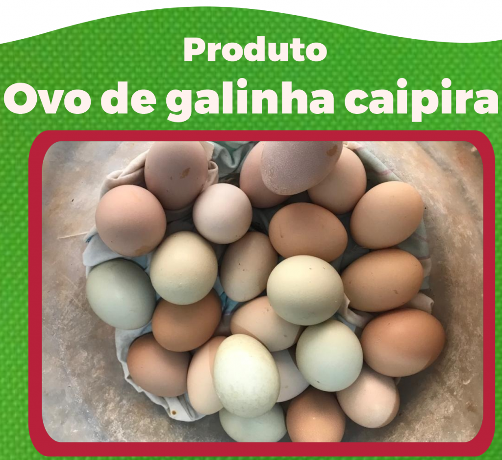 Com Quantos Meses A Galinha Caipira Começa A Botar Ovo