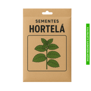 PACOTE (P) DE SEMENTES DE HORTELÃ